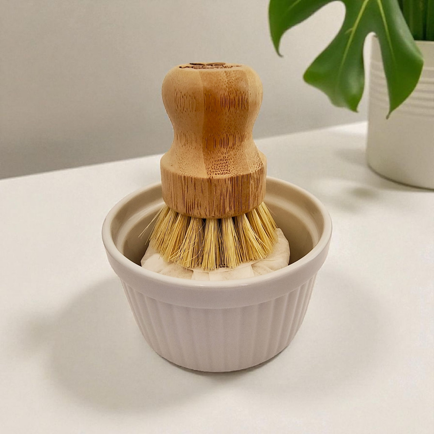 Eco-Friendly Dishwashing Set