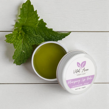 Lip Balm | Lavender + Mint | Plumping Lip Balm