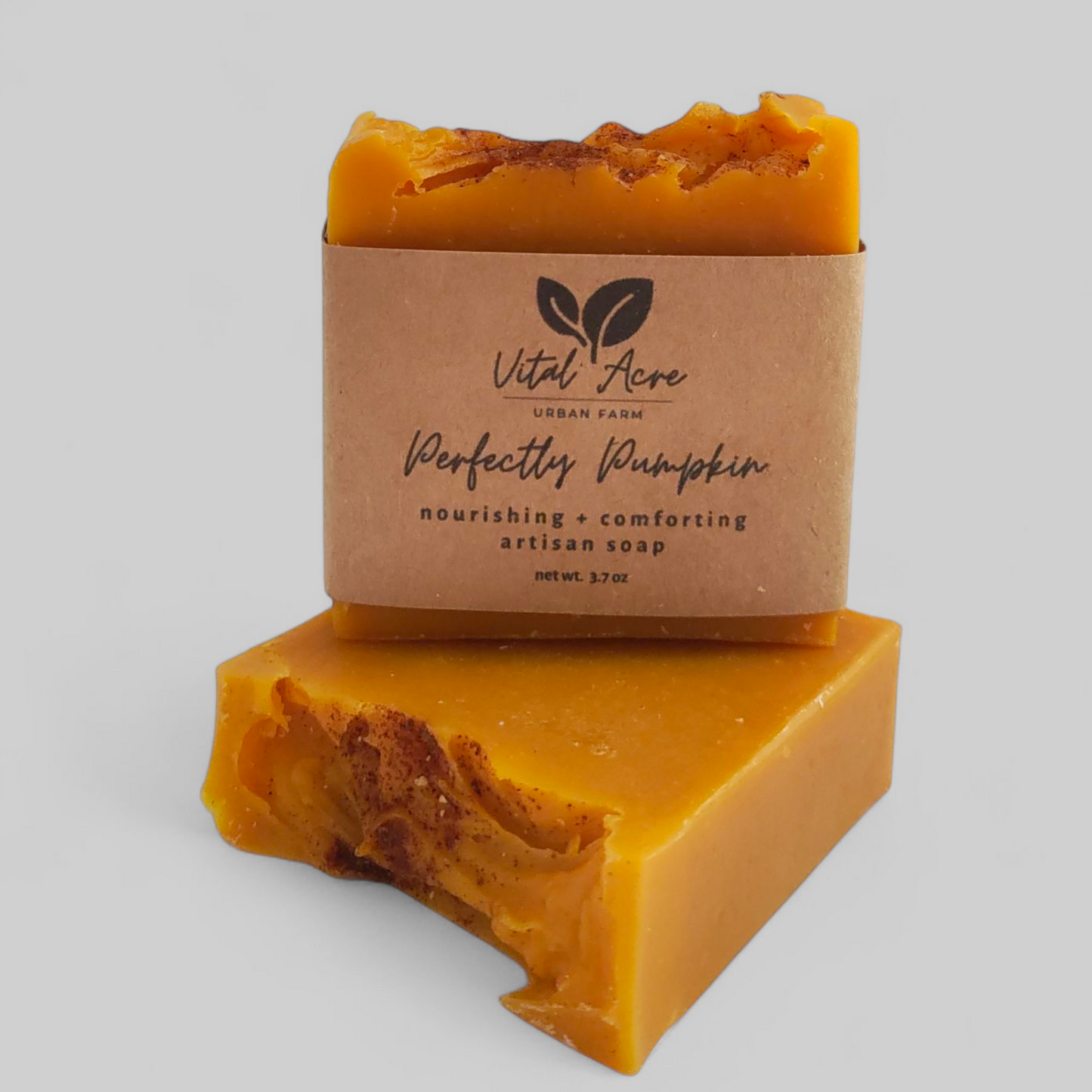 Perfectly Pumpkin Soap | All Natural | Luxurious Lather | Coconut oil free