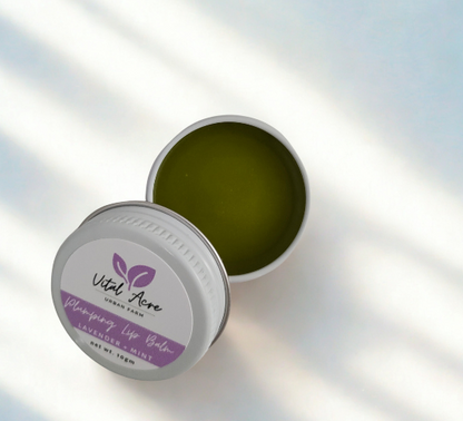 Lip Balm | Lavender + Mint | Plumping Lip Balm