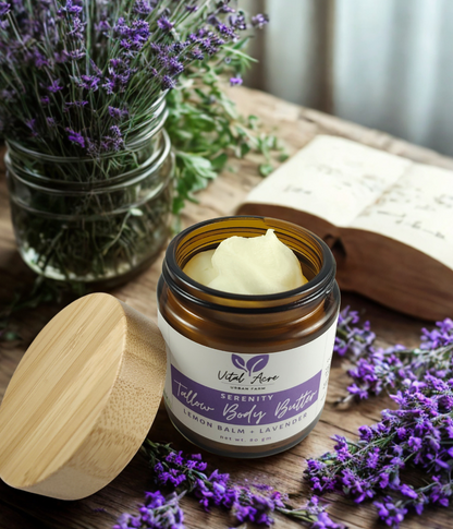 Serenity Tallow Body Butter | Lavender + Lemon Balm