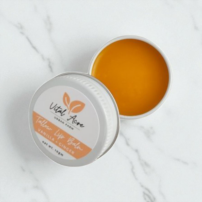 Lip Balm | Vanilla + Ginger | Plumping Tallow Balm