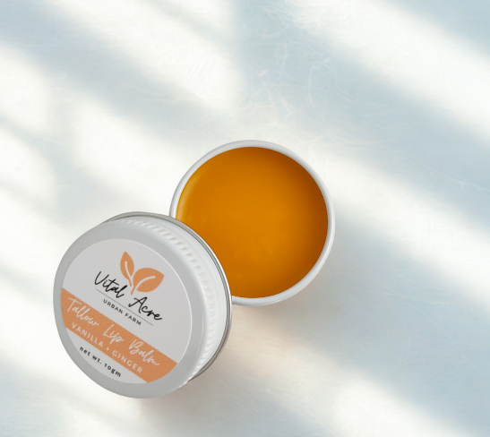 Lip Balm | Vanilla + Ginger | Plumping Tallow Balm