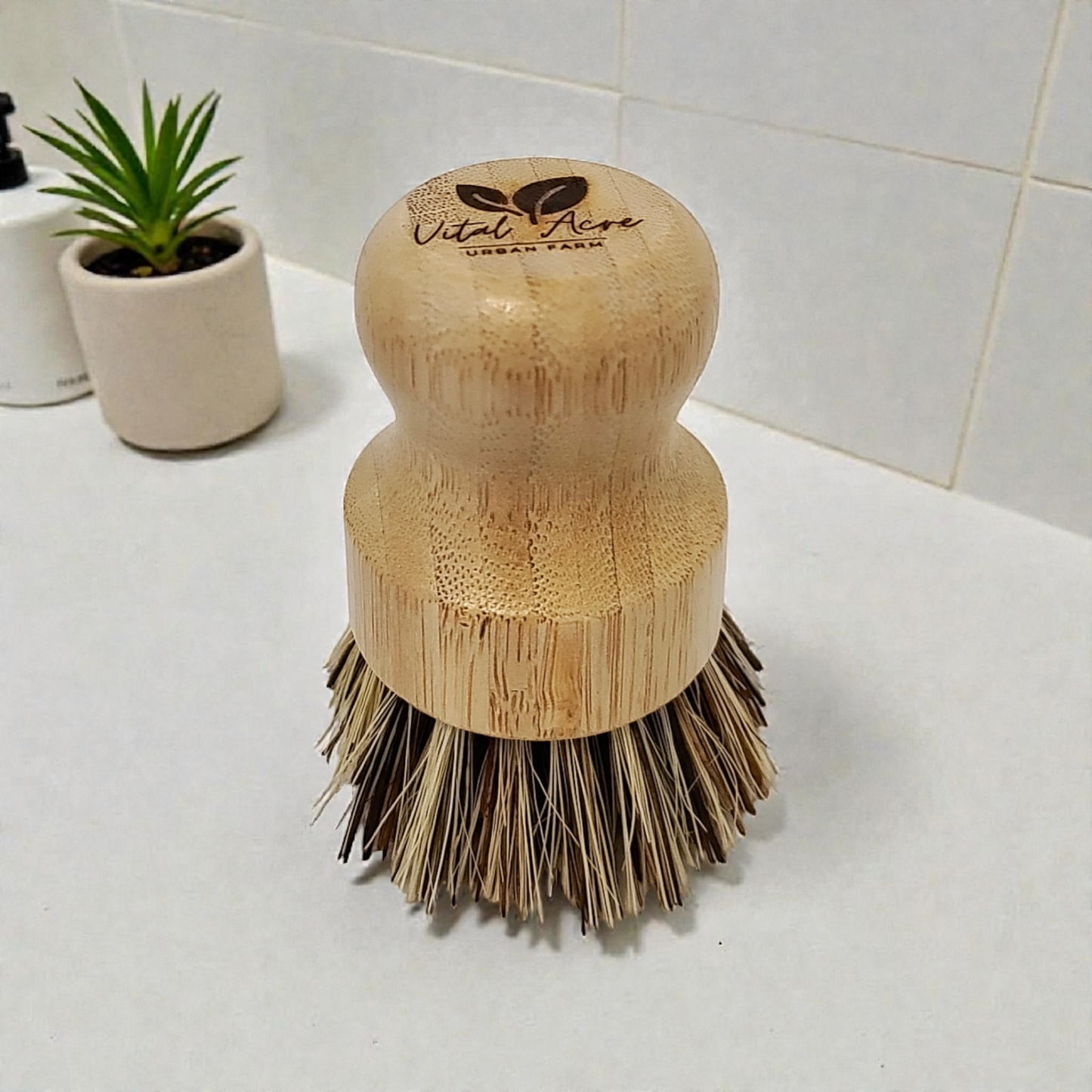 Dish Scrub Brush