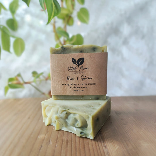 Rise & Shine | Eucalyptus + Mint Soap