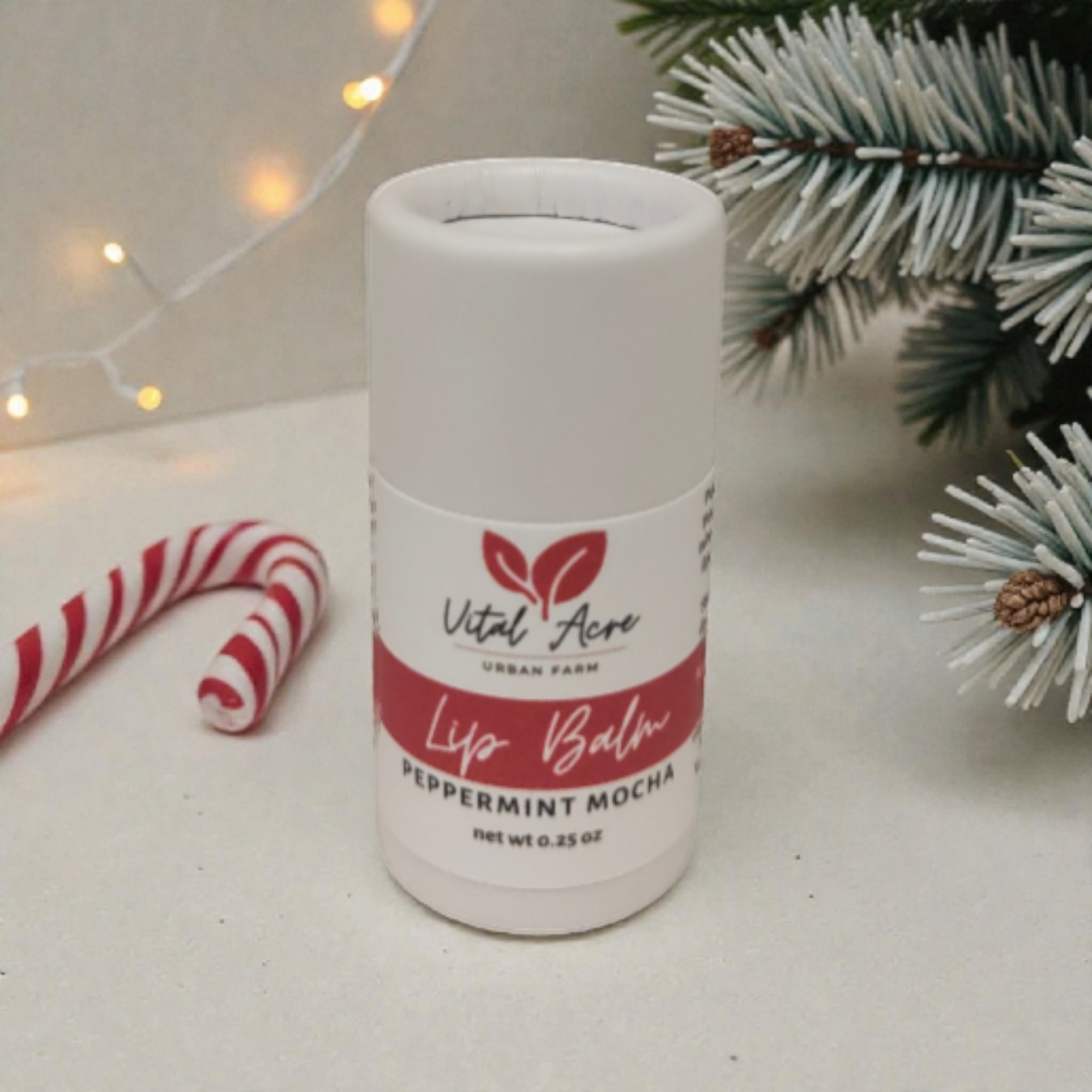 Peppermint Mocha Tallow Lip Balm *Limited Edition"