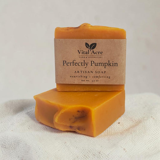 Perfectly Pumpkin Soap | All Natural | Luxurious Lather | Coconut oil free