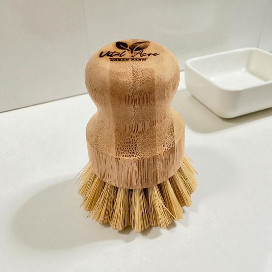 Dish Scrub Brush