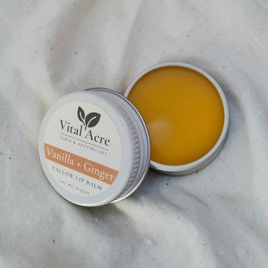 Lip Balm | Vanilla + Ginger | Plumping Tallow Balm