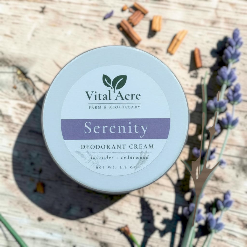 Vital Acre Farm & Apothecary Serenity tallow deodorant cream in a white jar with lavender sprig on wooden surface